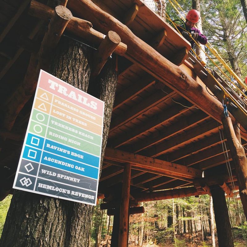 Course Levels and Progression