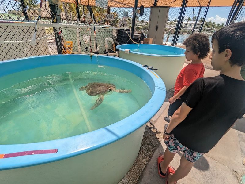 Common Injuries You Will Learn About on the Tour