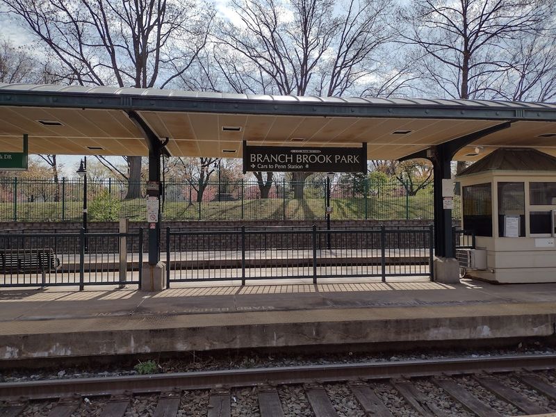 Light Rail and Car Free Access