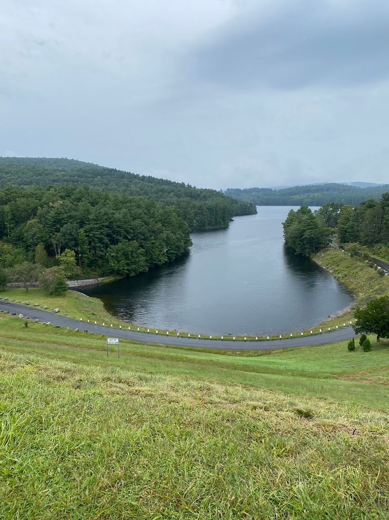 American Legion State Forest's Quiet Escape
