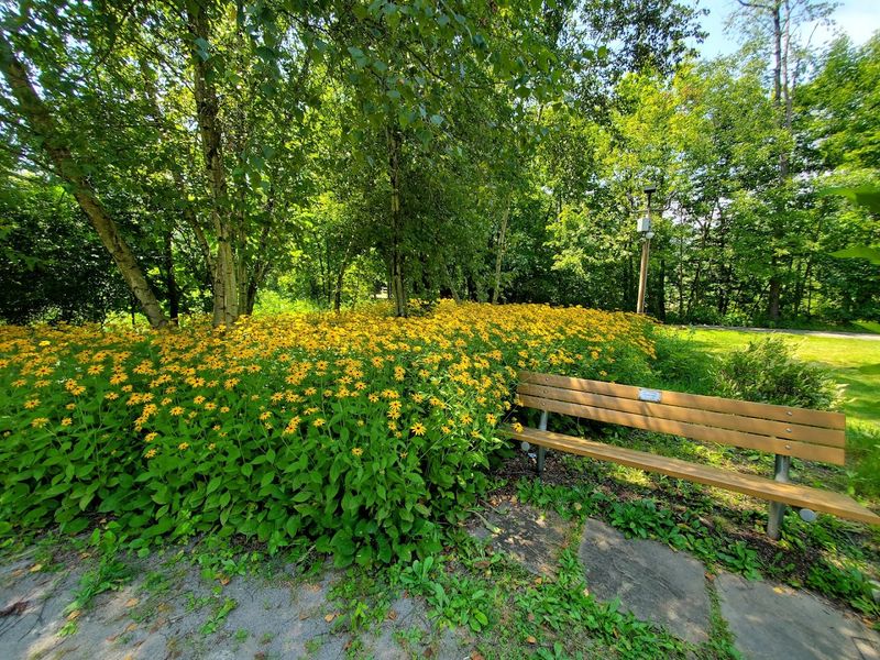 Acquiring the Land (1907–1911)