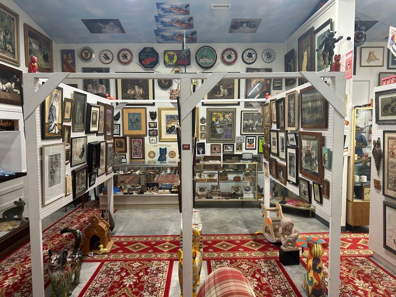 A Massive Collection of Feline Memorabilia