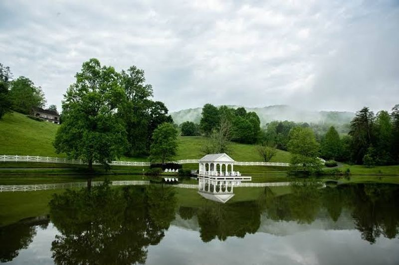 Fly Fishing on Hatcher Mountain Waters