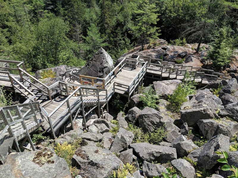 The Polar Caves Bear at Rumney