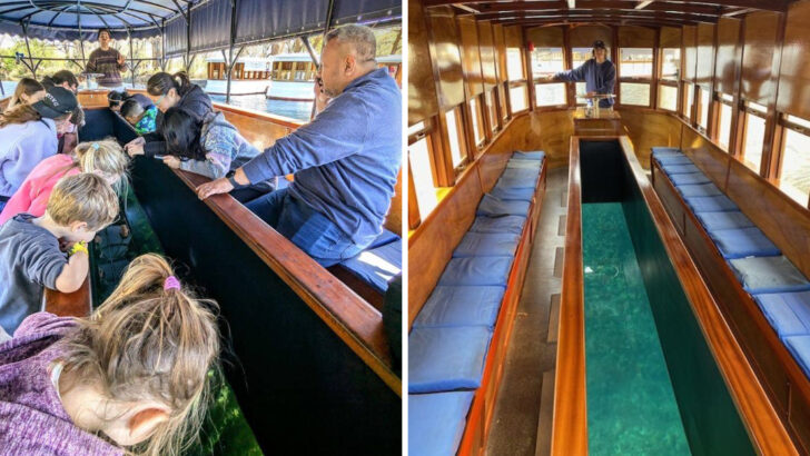 The quiet, glass-bottom boat ride hidden in Texas that feels like floating over an underwater forest