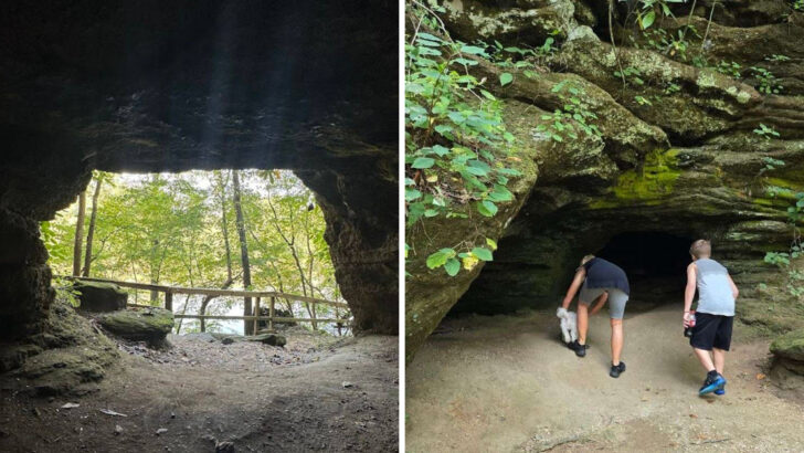 There&rsquo;s a Cave in North Carolina That Goes 140 Feet Into the Earth and You Can Walk Right Inside It for Free