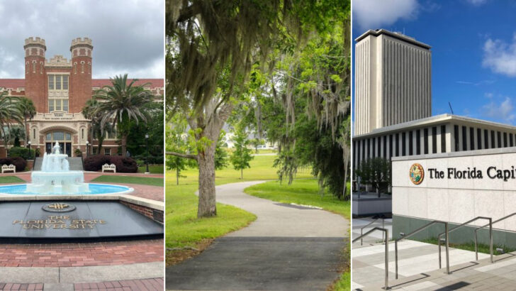 There&rsquo;s a City in North Florida With Oak Canopied Streets Where Your Money Still Goes Further Than Most of the State