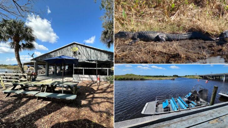 There&rsquo;s a Fish Camp on a Florida River Where Gators Swim Past Your Table and It Doesn&rsquo;t Get More Real Than That