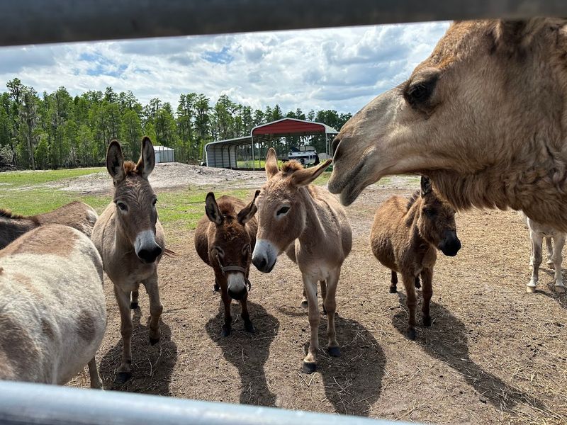 Guided Farm Tour Highlights