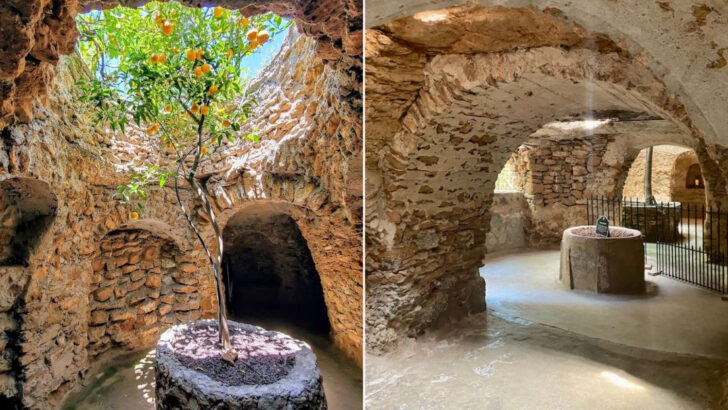There’s a Place in California Where Fruit Trees Grow 22 Feet Underground Inside Hand Carved Tunnels