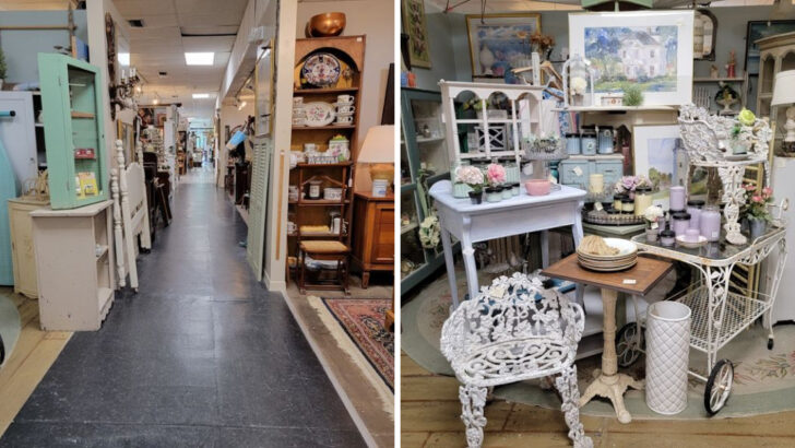 This 13,000 Square Foot Vintage Store in Florida Is Packed With Rare Finds at Prices That Will Surprise You