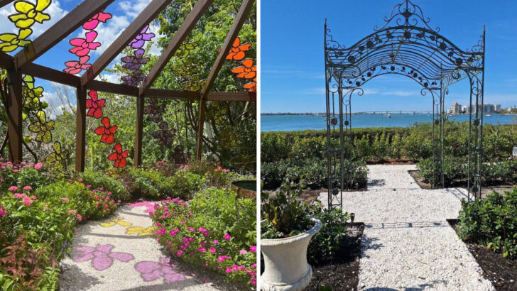 This 15 Acre Bayfront Garden in Florida Is Home to 5,500 Orchids and One of the Most Beautiful Walks You Will Ever Take