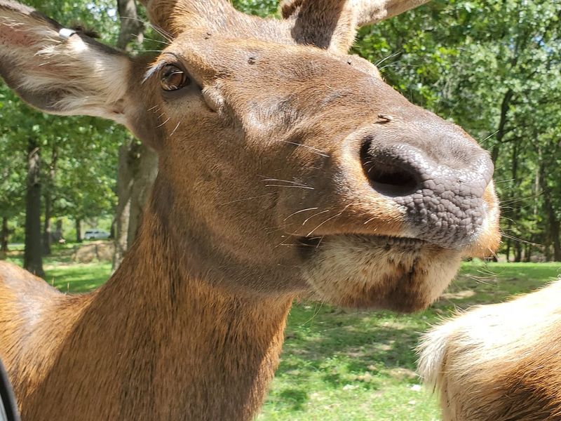 Guided Bus Tour vs. Your Own Car