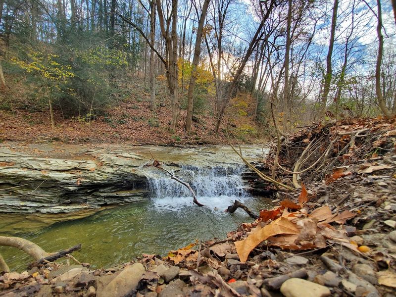 The Waterfall Along Meeks Run