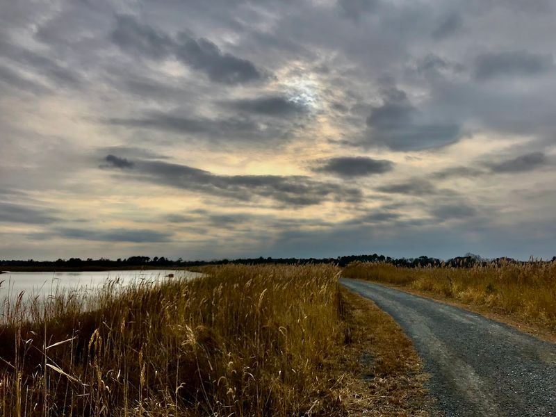 A Coastal Trail With Incredible Variety