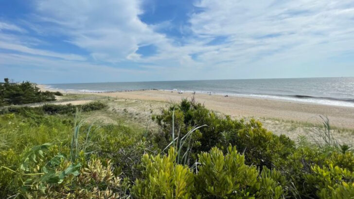 This 5-Mile Trail Along Delaware&rsquo;s Coast Is One Of The Most Beautiful Walks Around