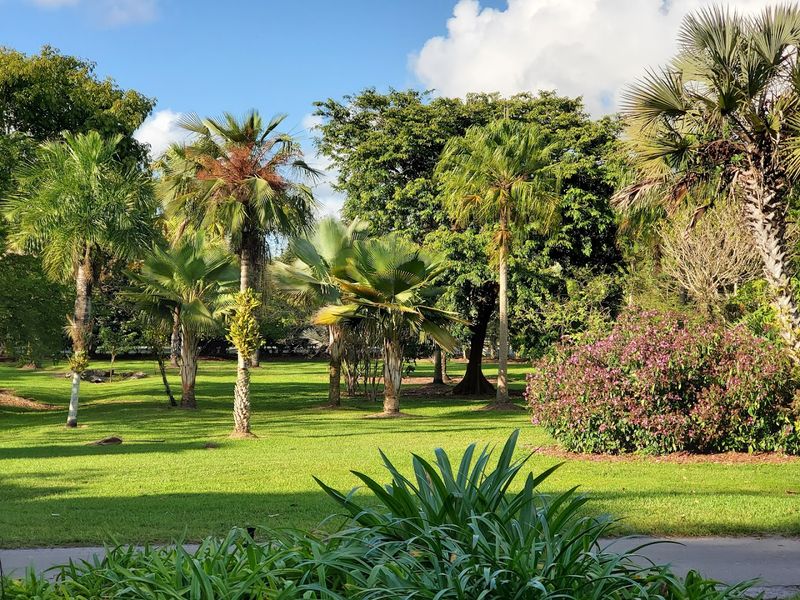 A Hidden 60-Acre Tropical Escape