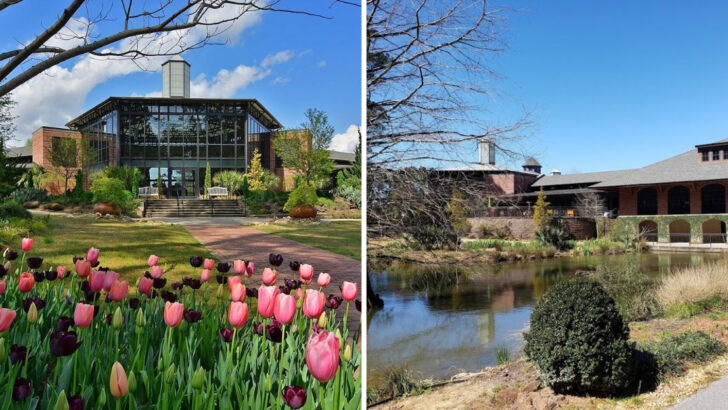 This 80-Acre North Carolina Garden Combines Riverfront Scenery With Miles Of Nature Trails