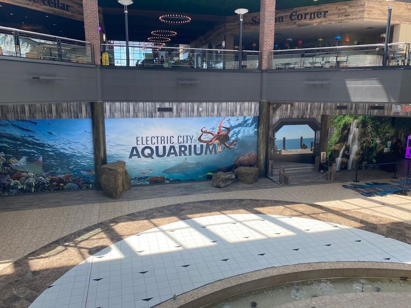 A Surprisingly Large Aquarium Inside a Mall