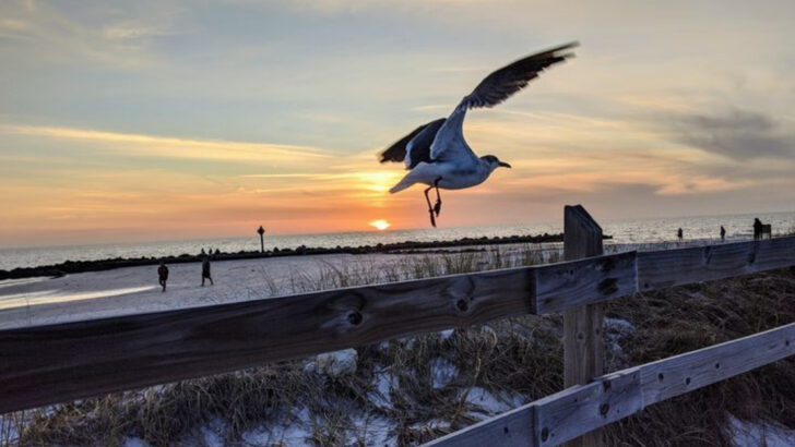 This Beachside Town in Florida Offers a Unique Mix of Culture and Coastal Living