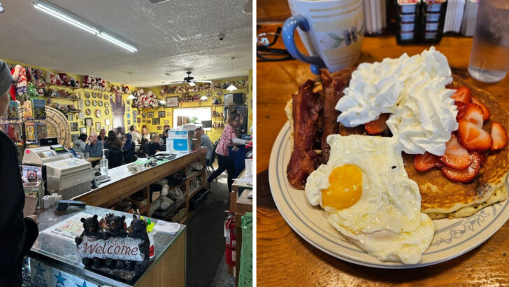 This Bear-Themed Mountain Diner In Colorado Serves A Breakfast Big Enough To Keep You Full All Day
