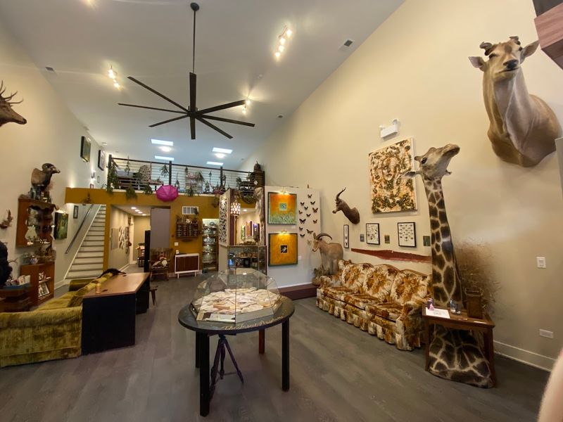 First Impressions Inside The Bug-Filled Wonderland