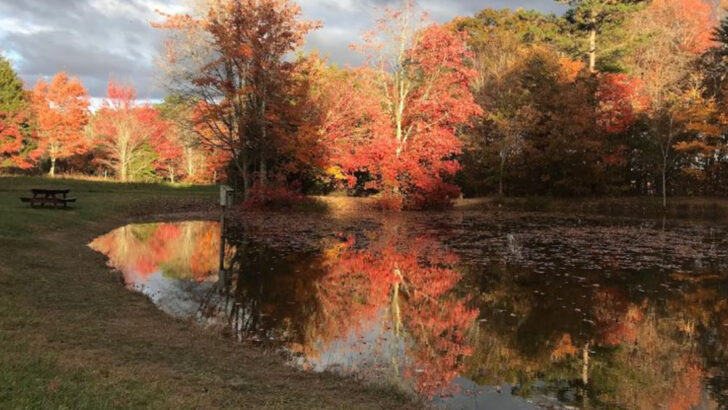 This Canyon Hike In Georgia Rewards You With Twin Waterfalls And Sweeping Views