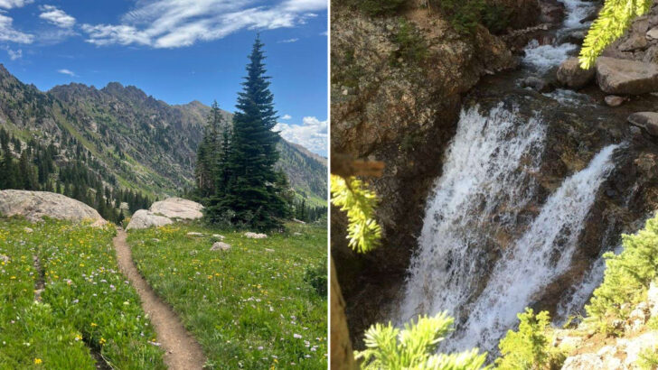 This Colorado Trail Starts Quietly But Ends At One Of The State’s Most Beautiful Waterfalls