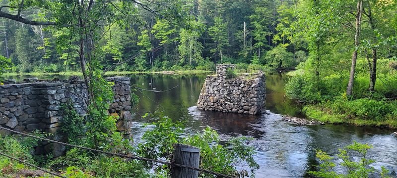 A Town Defined by Forest, Not Development