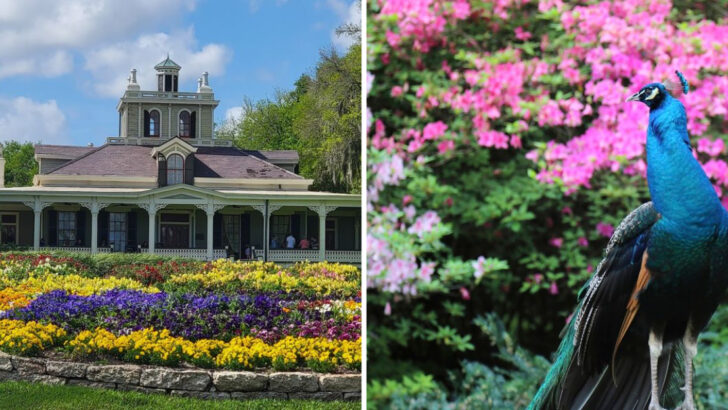 This Dreamy Botanical Garden in Louisiana Feels Like a Storybook Setting Brought to Life