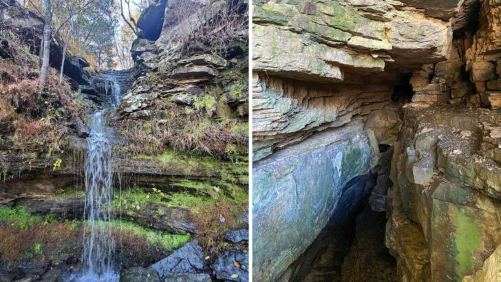This Easy Arkansas Trail Leads to a Fossil Bed So Perfectly Preserved It Feels Like a Natural Museum