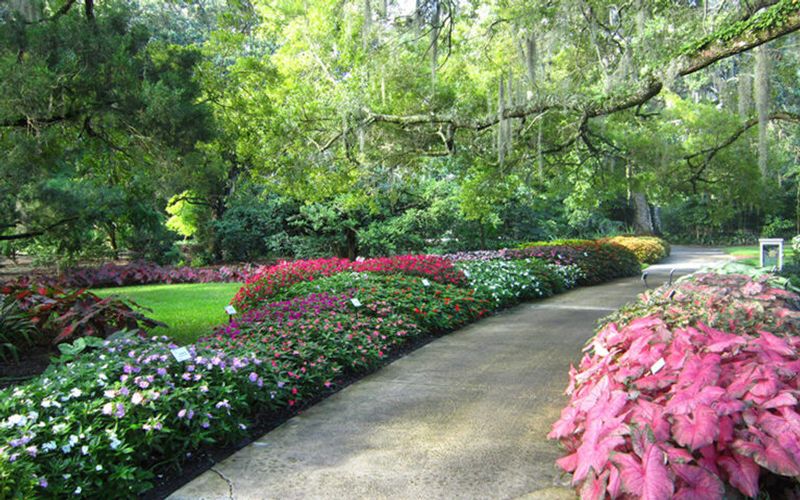 The Rose Garden: A Fragrant Stroll Through Color and History