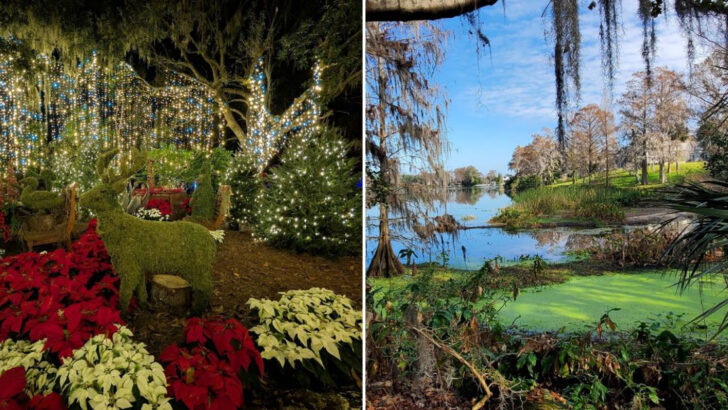 This Florida Botanical Garden Feels Like a Secret World Tucked Away in the Middle of One of the Busiest Cities in the State