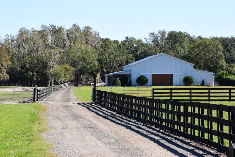Cow Creek Farm: A Hidden Gem in Plant City