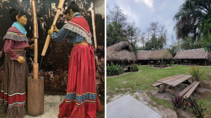 This Florida Museum Sits on 60 Acres of Untouched Everglades and Holds 5,000 Years of Seminole History