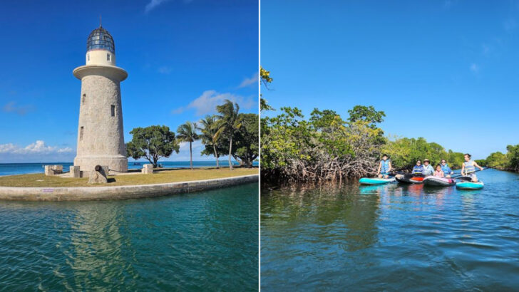 This Florida National Park Is 95% Underwater And Home To Some Of The Rarest Wildlife In The Country