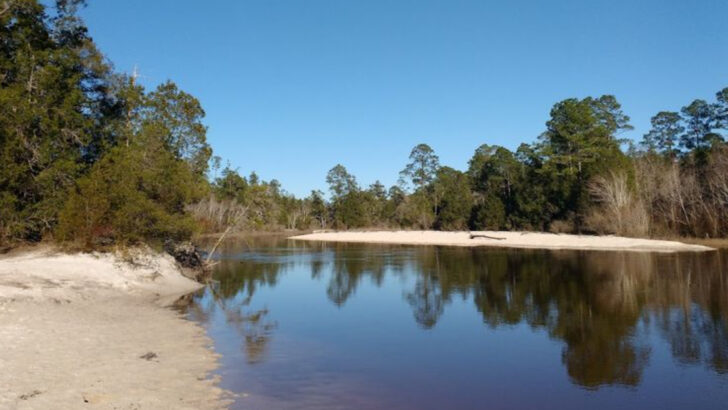 This Florida Panhandle State Park Sits On One Of The Purest Sand-Bottom Rivers In The World