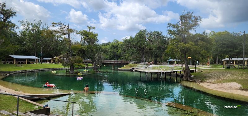 One of the Largest Spring-Fed Swimming Areas in Florida