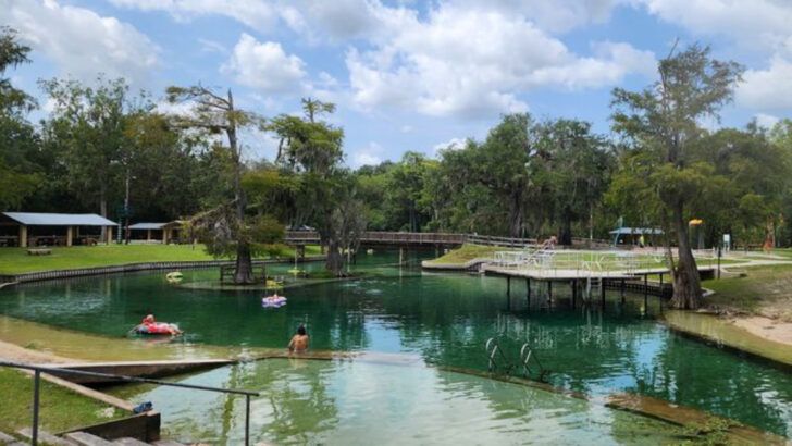 This Florida Spring Has Something for Everyone and More Wildlife Than You&rsquo;d Ever Expect