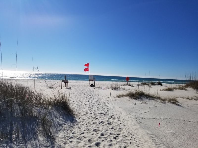 The Rare Coastal Dune Lake