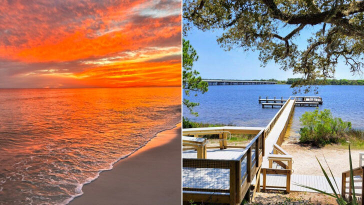 This Florida State Park Blends A Rare Coastal Lake With Wildlife, Fishing, And Peaceful Beaches