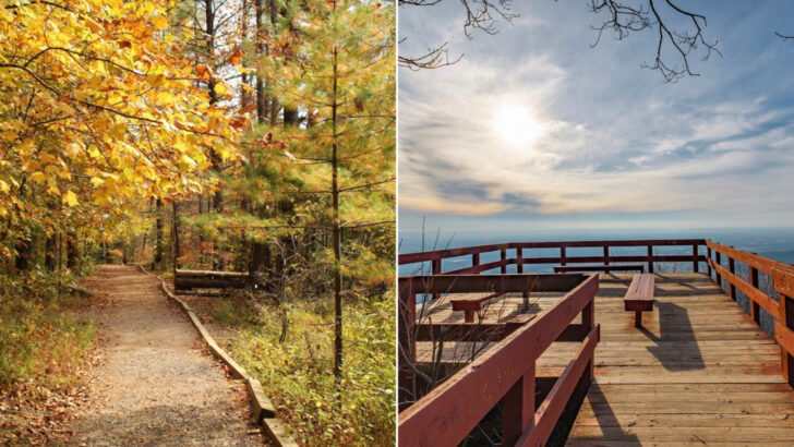 This Former Military Base in Georgia Is Now a 3,400-Acre Playground for Mountain Bikers With Over 50 Miles of Trails