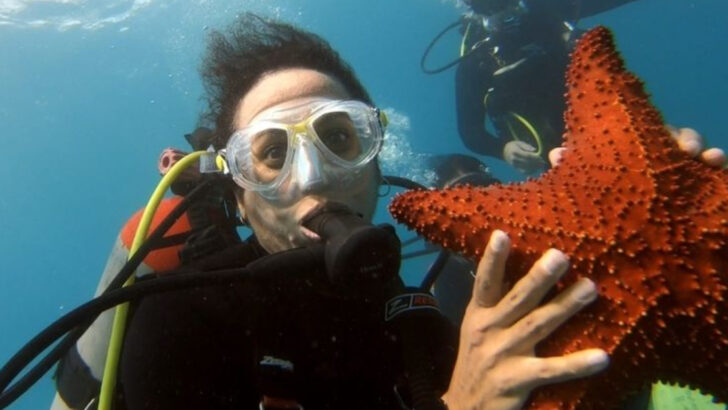 This Free Snorkel Trail in Florida Is Considered Some of the Best Snorkeling in the Entire Country