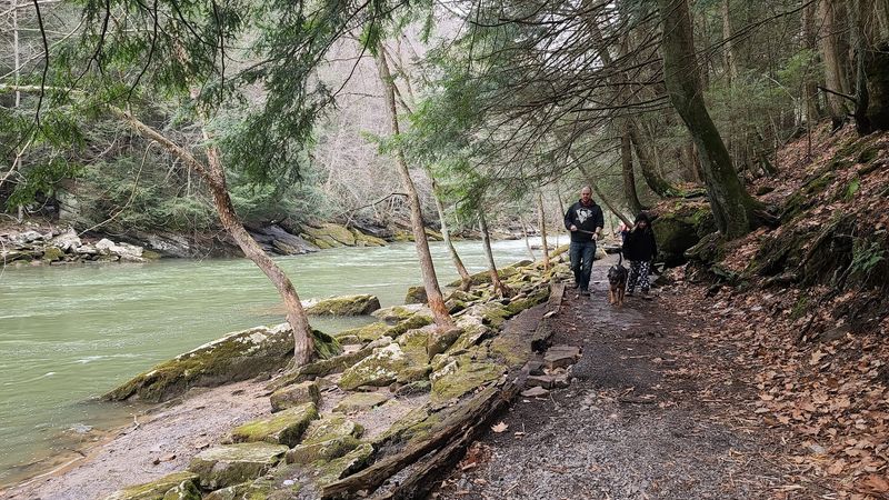 Hiking the Kildoo Trail Along Slippery Rock Creek