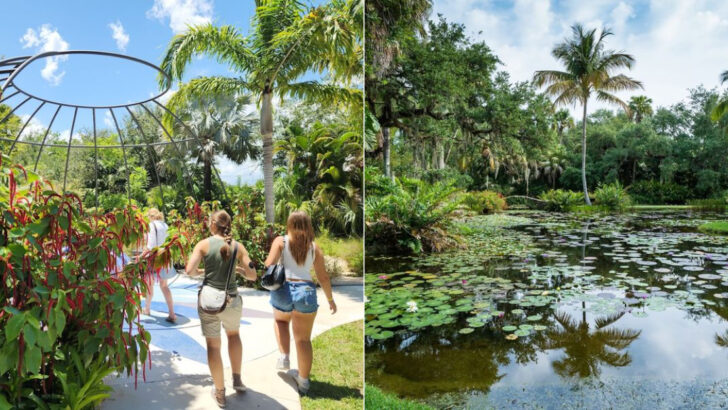This Historic Florida Garden Is Home to One of America’s Most Celebrated Waterlily Collections