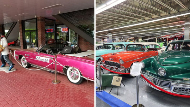 This Low-Key Florida Museum Surprises Visitors With Over 160 Vintage Cars Inside