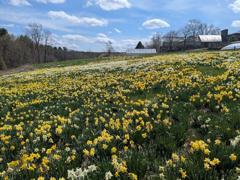 A Hilltop Garden Worth Discovering
