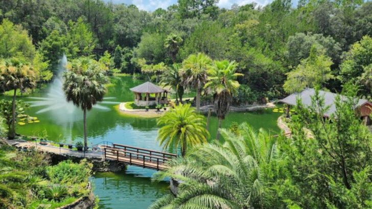 This Massive Botanical Garden in Florida Was Carved Out of an Abandoned Quarry and It Feels Like Another World