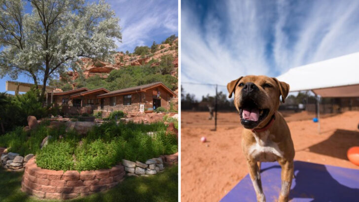 This Massive Utah Canyon Sanctuary Lets Visitors Take Rescued Animals on a Weekend Sleepover