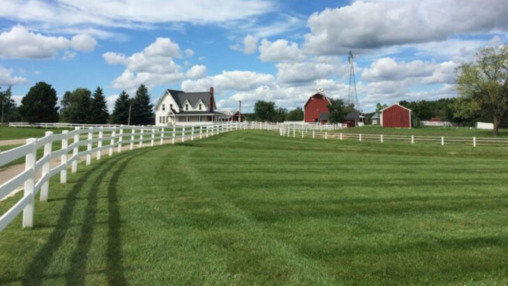 This Michigan Farm Near Ann Arbor Is Home to Alpacas, Cows and Nearly 200 Animals